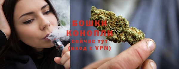 прущие грибы Кодинск