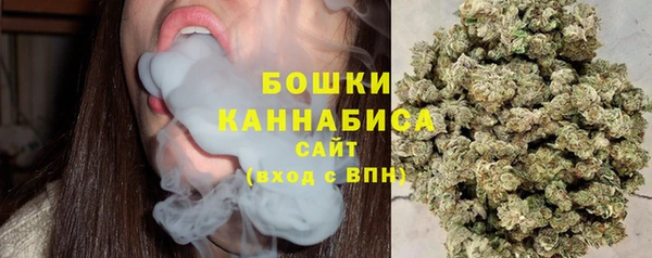 прущие грибы Кодинск
