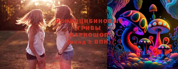 прущие грибы Кодинск