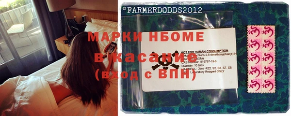 прущие грибы Кодинск