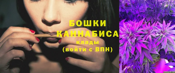 прущие грибы Кодинск