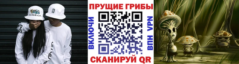 хочу   Коммунар  Псилоцибиновые грибы мухоморы 